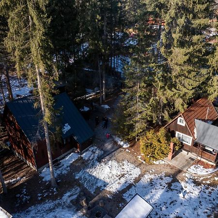 Cabana Adrienne Izvoru Mureşului Buitenkant foto