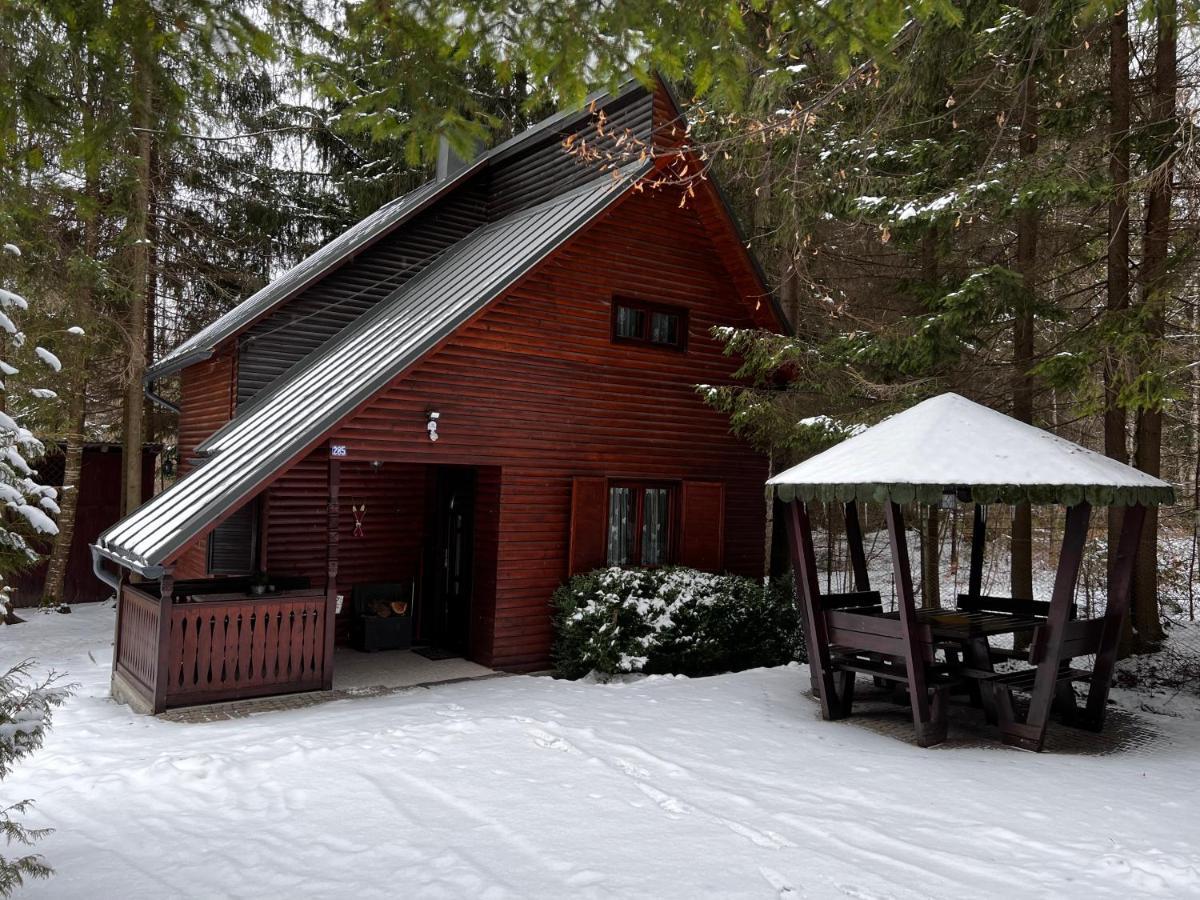 Cabana Adrienne Izvoru Mureşului Buitenkant foto