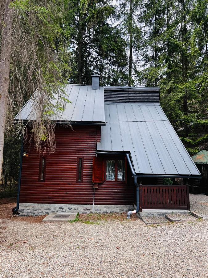 Cabana Adrienne Izvoru Mureşului Buitenkant foto