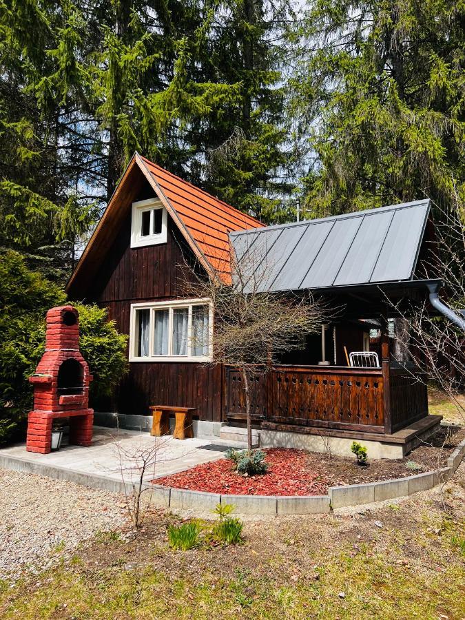 Cabana Adrienne Izvoru Mureşului Buitenkant foto