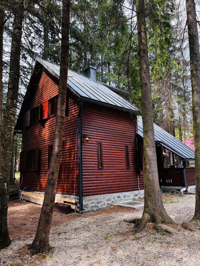 Cabana Adrienne Izvoru Mureşului Buitenkant foto