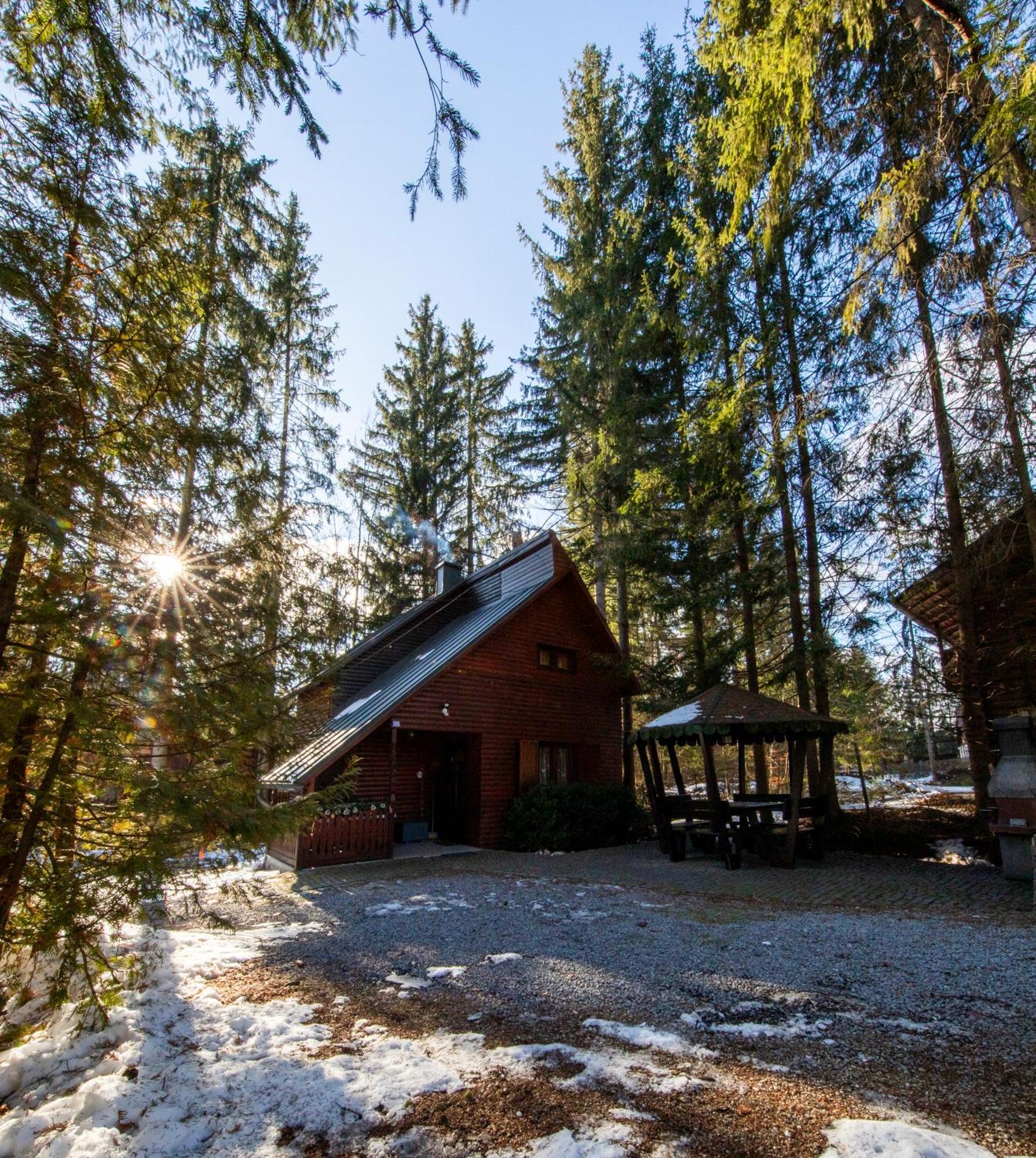 Cabana Adrienne Izvoru Mureşului Buitenkant foto