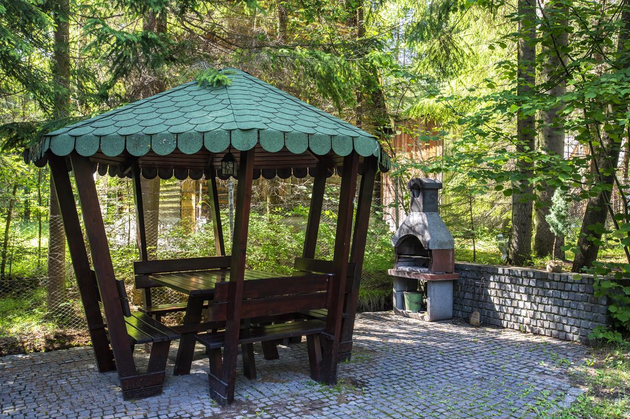 Cabana Adrienne Izvoru Mureşului Buitenkant foto